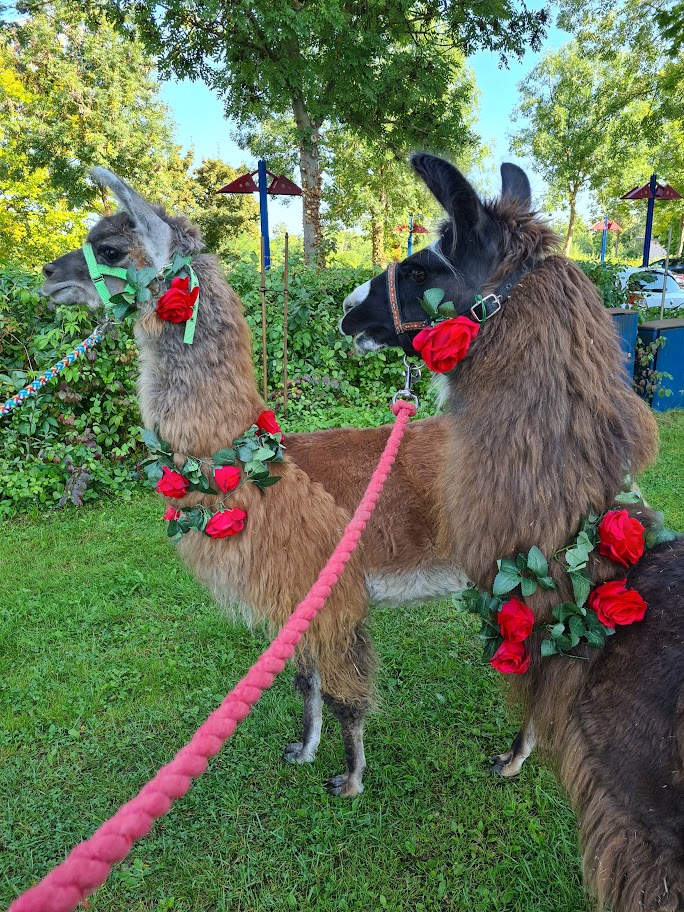 CappuKnuffiHochzeit2.jpg