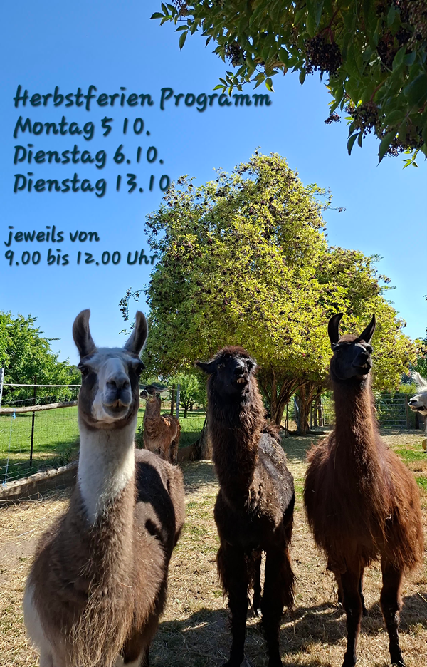 2026 08 07 Herbstferienprogramm